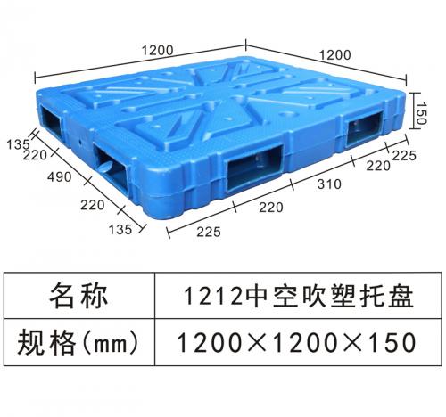 1212 Hollow blow molding tray