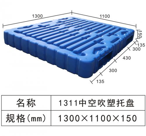 1311 Hollow blow molding tray