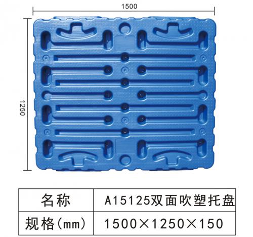 A15125 Double blow molding tray